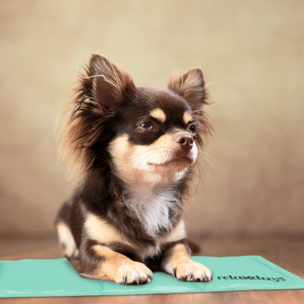 Cooling mat for dogs