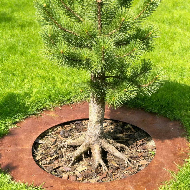 Corten Steel Tree Ring – Round Mowing Edge for Lawns