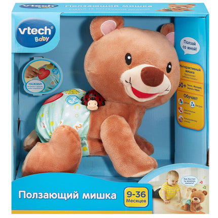 Crawl Along Bear Interactive Toy for Infants and Toddlers