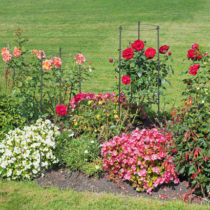 Creeper 60 cm Set of 4