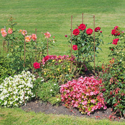 Creeper 60 cm Set of 4