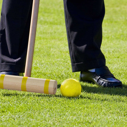 Croquet game