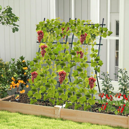 Cucumber Trellis with Net, 187 cm Tall, PE-Coated Metal