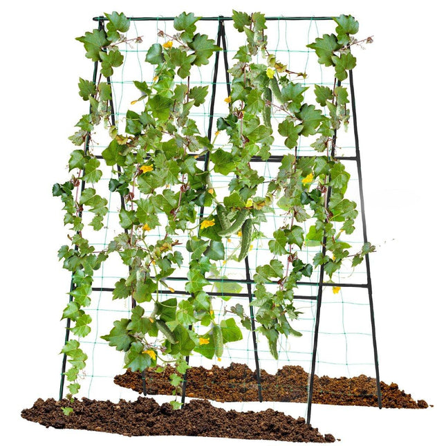 Cucumber trellis set A-shaped adjustable width trellis with net 88 x 124 x 30-60 cm black