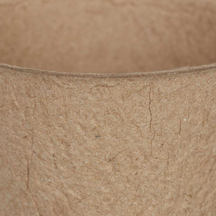 Cultivation pots 120-pack