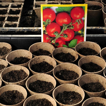 Cultivation pots 120-pack