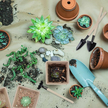 Cultivation pots 120 sets with tools