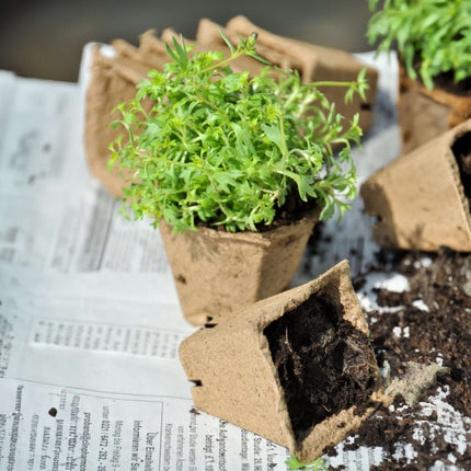 Cultivation pots 120 sets with tools