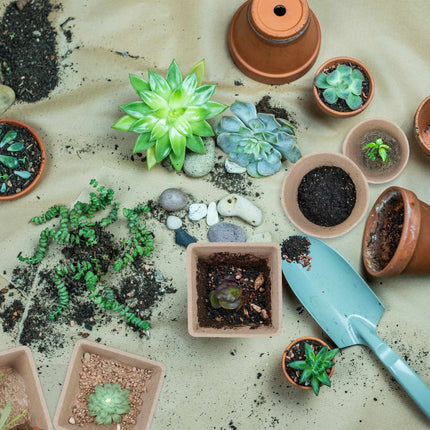Cultivation pot, set of 96 with accessories