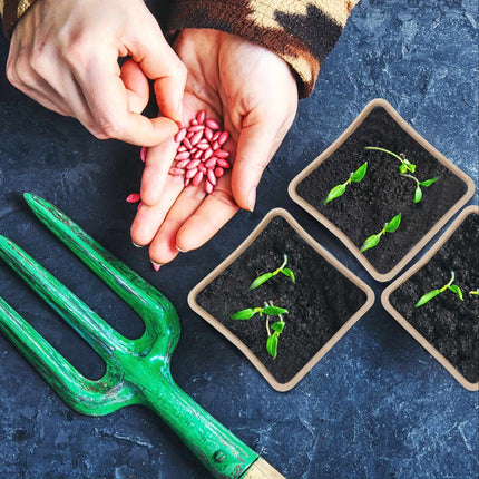 Cultivation pots set for 80 cuttings