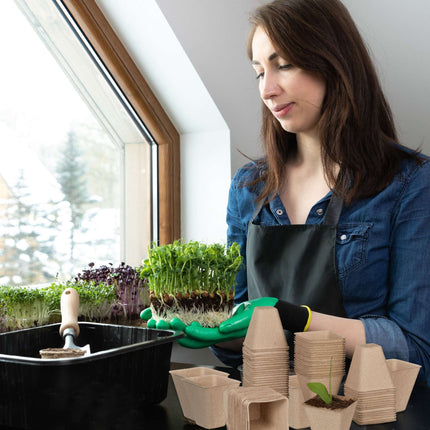 Cultivation pots set for 80 cuttings
