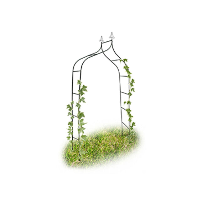 Curved Metal Rose Arch with Pointed Top