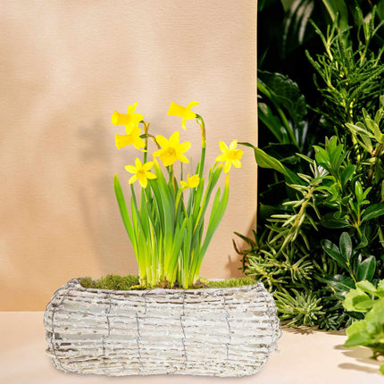 Curved flower pot - set of 2