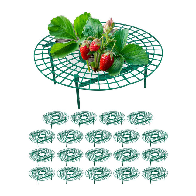 Aardbeiensnijder, 20 stuks