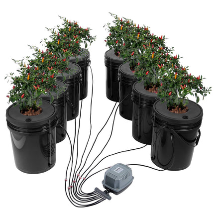 DWC Hydroponic Grow System, 8 x 5-Gallon Kit With Air Pump