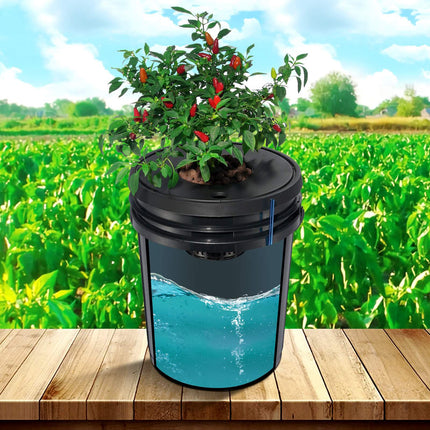 DWC Hydroponic Grow System, 8 x 5-Gallon Kit With Air Pump