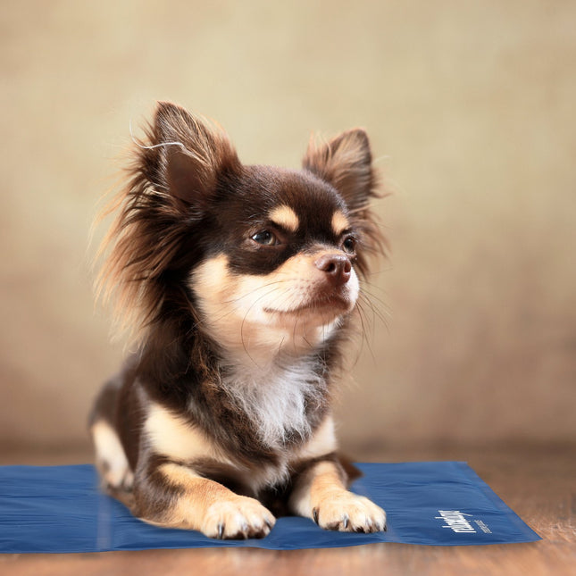 Dark blue cooling mat for dogs