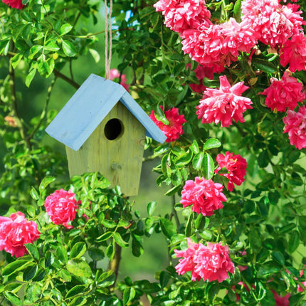 Deco birdhouse