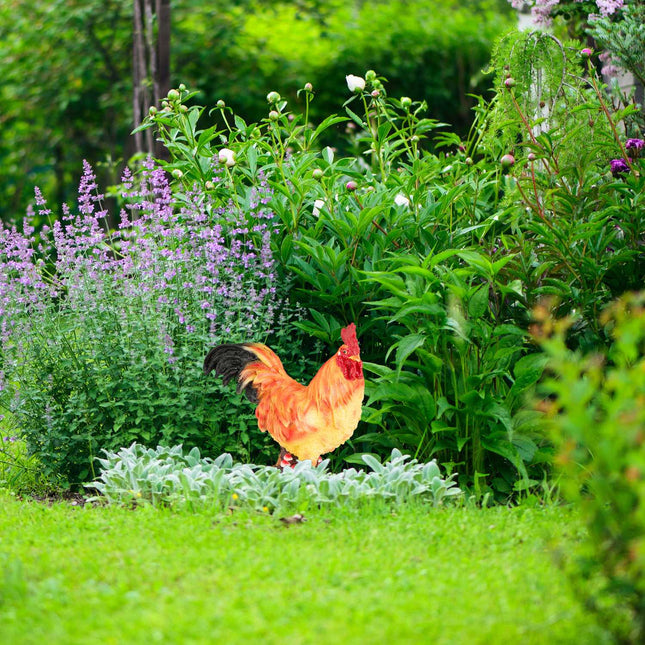 Decorative Garden Rooster Figurine – Lifelike Outdoor Statue