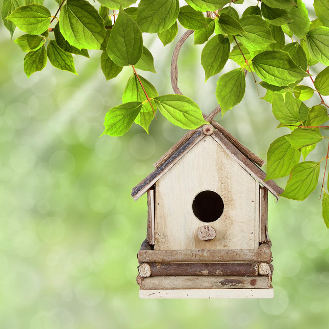 Decorative Hanging Birdhouse – Various Designs