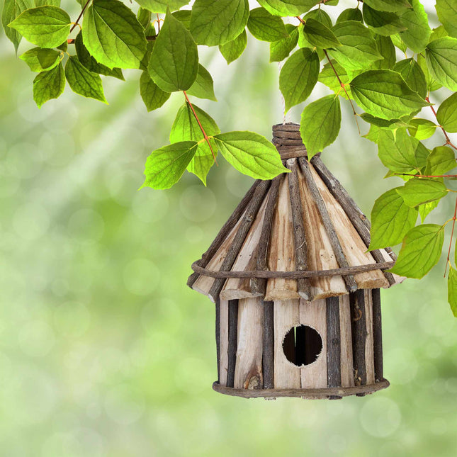 Decorative bird house in various designs