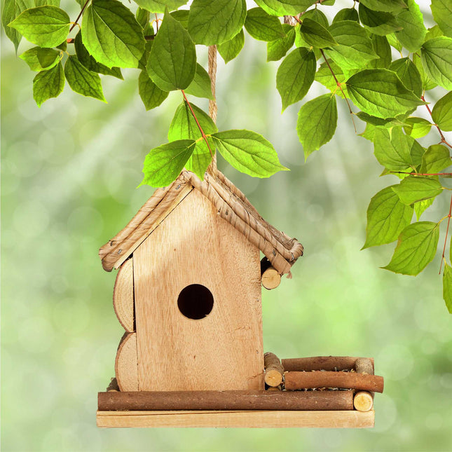 Decorative bird house with feeding station