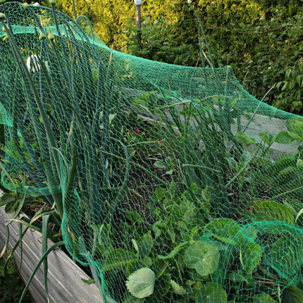 Dense mesh bird net set of 3