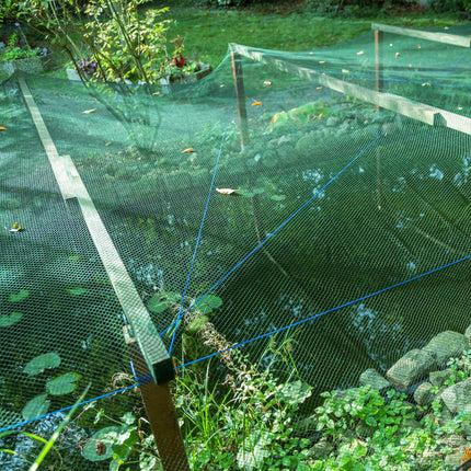 Dense mesh bird net set of 3