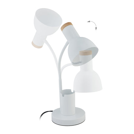 Desk lamp with pen holder
