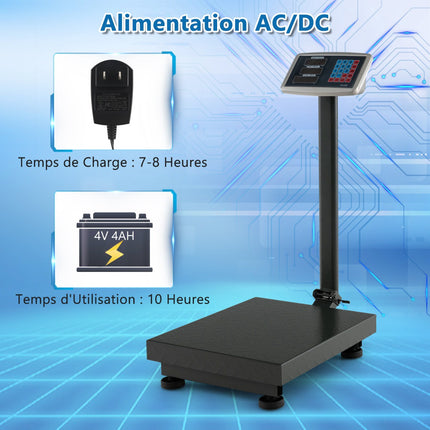 Digital Platform Scale 300 kg, 0.05 kg, Price Calculator