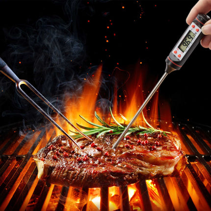 Digital kitchen thermometer