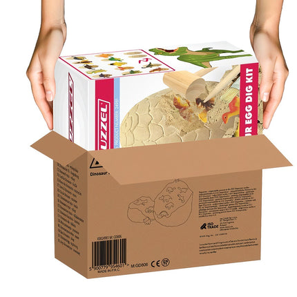Dinosaur Egg - Excavation Site 24981