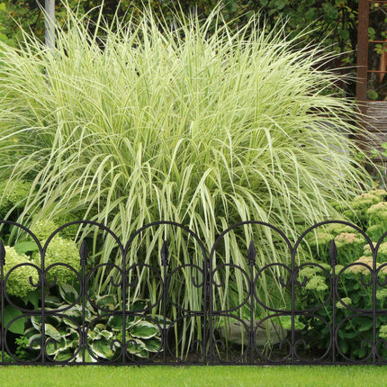 Discount fence plastic black/white