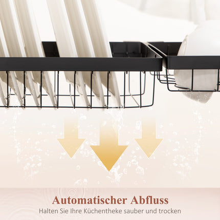 2-tier steel dish rack with hooks and tray, black