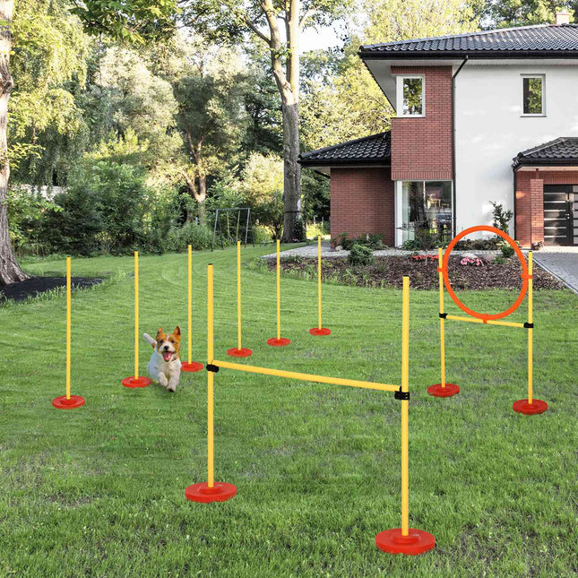 Dog Agility fence set, 3-in-1 training, portable, yellow