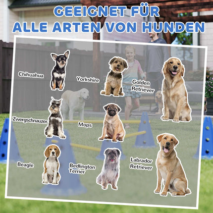 Dog Agility Set – 3-Piece Training Kit with 6 Cones, 3 Hurdles