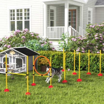 Dog Agility Training Set, 4-piece adjustable equipment