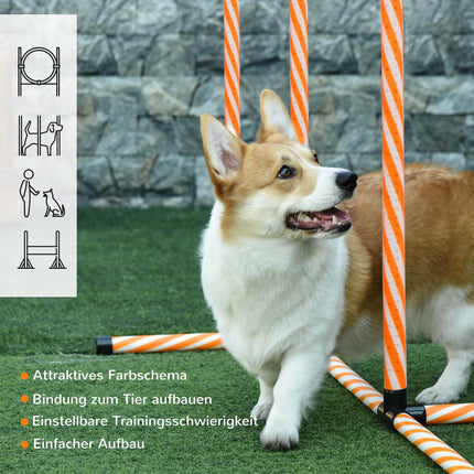 Dog Agility Training Set with Tunnel, Portable Orange/White