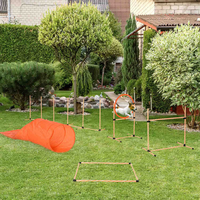 Dog Agility Training Set with Tunnel, Portable Orange/White