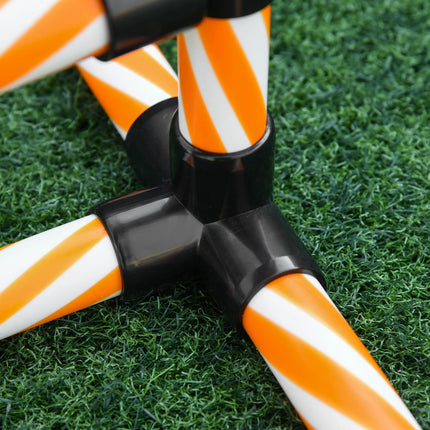 Dog Agility Training Set with Tunnel, Portable Orange/White