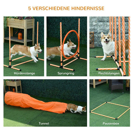 Dog Agility Training Set with Tunnel, Portable Orange/White