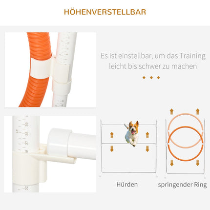 Dog Agility Set with adjustable obstacles and tunnel