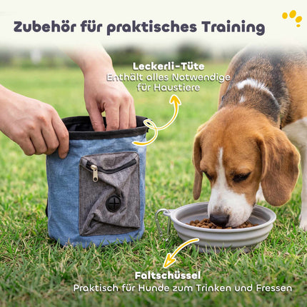 Dog Agility Set with Adjustable Jumps and Tunnel