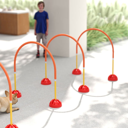 Dog Agility Training Set with 4 Adjustable Gates, Portable Bag