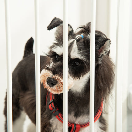 Foldable dog barrier with adjustable angle and automatic door