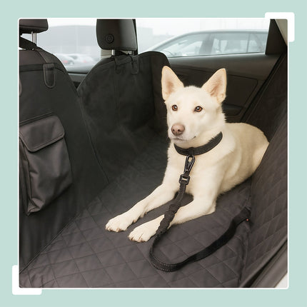 Dog Car Seatbelt with Shock Absorber, Adjustable Length