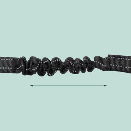 Dog Car Seatbelt with Shock Absorber, Adjustable Length