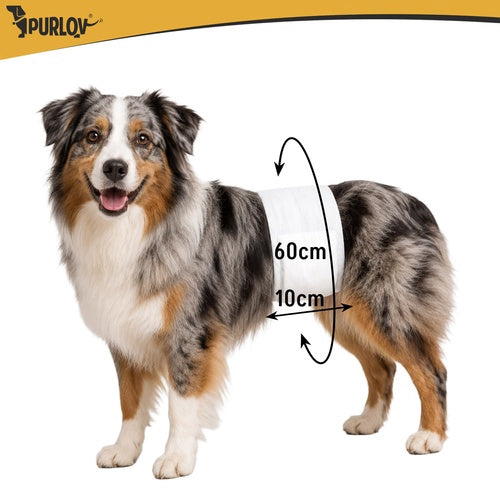 Dog Diapers, Absorbent, ML Size, 12 Pack, 46-60 cm