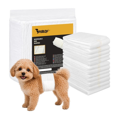 Dog Diapers SM, Absorbent, 12 Pack, 30-46 cm