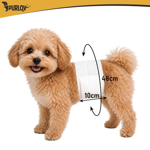 Dog Diapers SM, Absorbent, 12 Pack, 30-46 cm